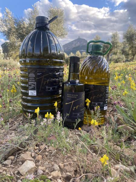 Torcus - Mejor Aceite de Alicante