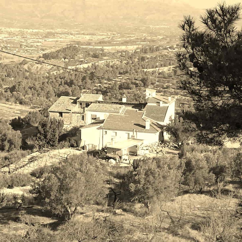 Aceite de oliva del Mas de la Era de Cocentaina
